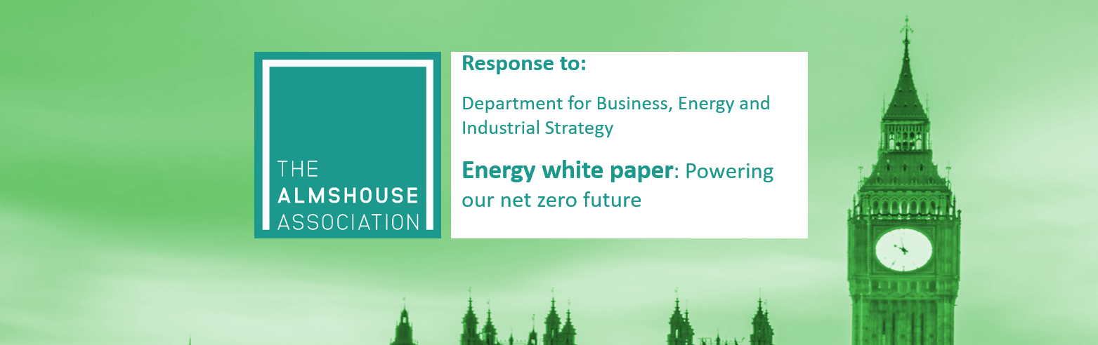 Energy White Paper: Association response