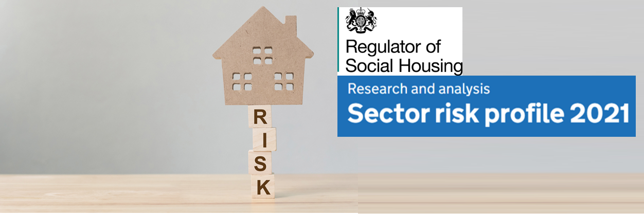Sector Risk Profile 2021: Almshouse Association Briefing Note